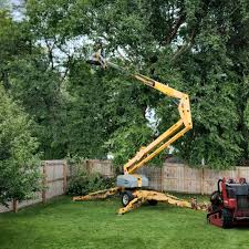 Leaf Removal in Campbell, FL