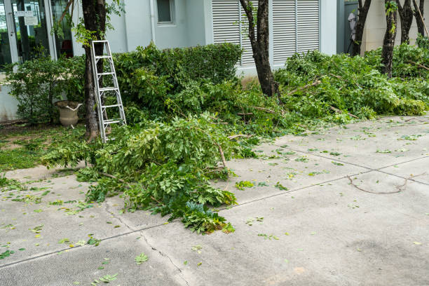 Lawn Irrigation Installation and Maintenance in Campbell, FL