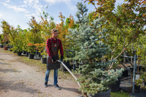 How Our Tree Care Process Works  in  Campbell, FL